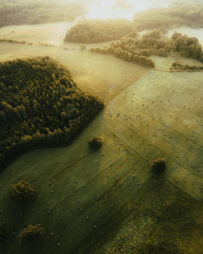 Green fields and tree lines from above at dawn