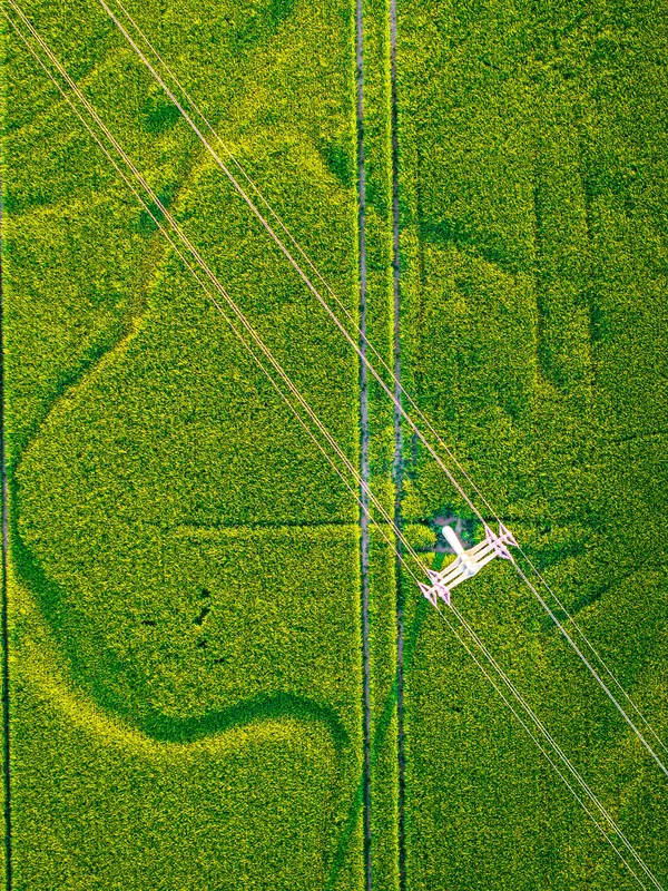 Electricity transmission lines crossing green fields