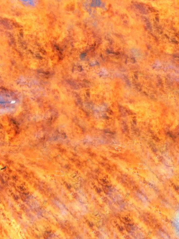 Intense wildfire flames and smoke